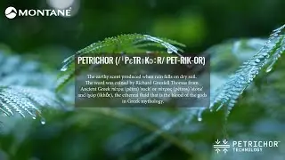 What is Petrichor? | Brand new membrane tech from Montane