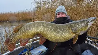 A tribute to my polish pike fishing 😍🎣😁