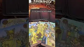 Кто позарился на твой карман? #магия #rinacheray #таро #tarot #таролог #гадание #тарологукраина