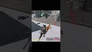 Solo vs squad 