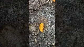 no way it did that 😂😂