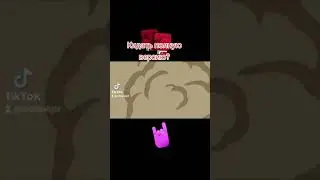 Грузчик Эльдар