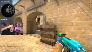 Вот для чего нужны ЭТИ ДЕРЕВЯШКИ! Mirage