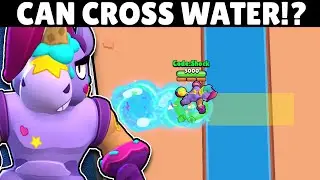 Can Berry Dash Through Water!? | Berry Experiments 
