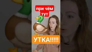 ПРИЧЁМ ТУТ УТКА?!?!?! 
