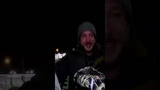 Пакет саморезы по низкой цене