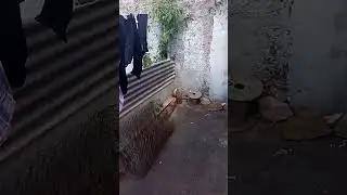 20 de dezembro de 2023