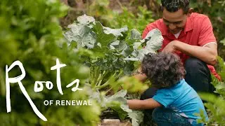 Roots of Renewal