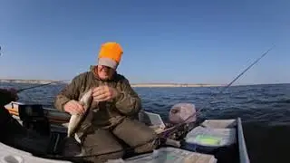 Судак на Волге сплавом / Видео в 360