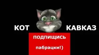 Кот Кавказ   Три в одном 17