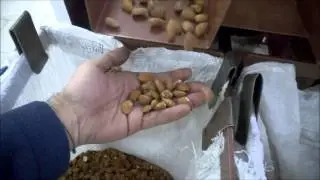 Impianto di sgusciatura mandorle Str2 - Almond's shelling and separating machine