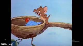 Tom and Jerry Cartoon | Tarpan Patel