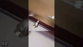 Unexpected Events:  The Mysterious Falling Statue