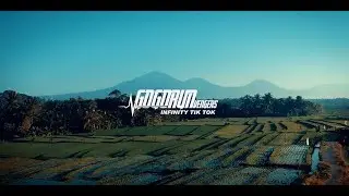 GOGORUNVENGERS Infinity TIK TOK