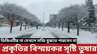 প্রকৃতির এক বিস্ময়কর সৃষ্টি poland