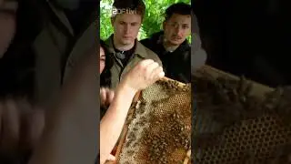 Offizieller Trailer l DIE WG - Das große Wiedersehen #diewg #jungswg #mädchenwg