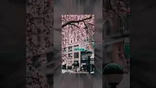 Обои на телефон часть 16 тг: @CherdakKrestu #обои #city #рек #shorts #часть16