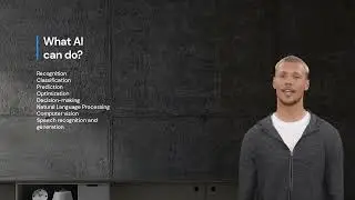 Lesson 2:   What AI can and what it cannot do.