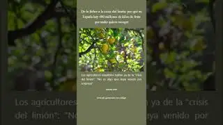 Noticias 179 - #alucinante #millón #burbuja #fiebre #crisis #limón #google #simular #memoria #humana
