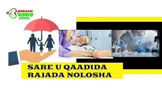 kordhinta rajada nolosha qofka, sare u qaadida nolosha bulshada iyo shaqada kala duwan ee 2o takhtar