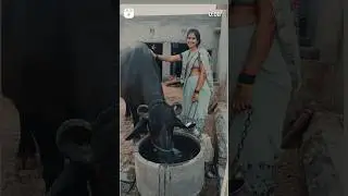 jindgi ❤️❤️#short#mrsmachandervlogs