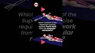 Superman Hold Variations: T vs. W