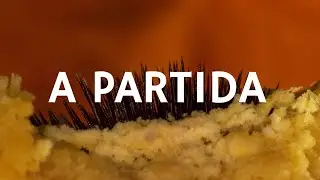 Carne Doce - A Partida (Libras e letra)