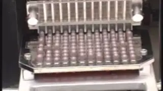 AUTOMATIC EMPTY CAPSULE LOADER