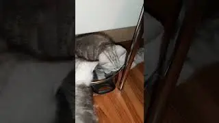 Я уеду на кухню.