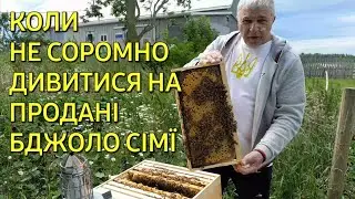 Коли не соромно дивитися на продані бджоло сімї 