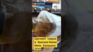 СИВУХА ЕГАИС Не РабоТает!!!БАЛАШИХА СВЕРДЛОВА 65 КРАСНОЕ-БЕЛОЕ КОНТРАФАКТ 2024!!!!