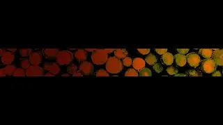 AV Artwork, Autumn 2021