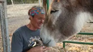 Changing Mellie's Cast - Donkey Rescue Life