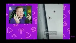 поззи и пауки #поззиприди