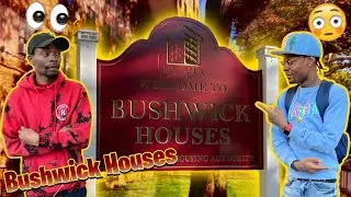 INSIDE BUSHWICK PROJECTS (BROOKLYN)