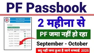 PF Passbook में 2 Month से PF जमा नहीं हो रहा है। Pf jama nahi ho raha hai Solution video ✅