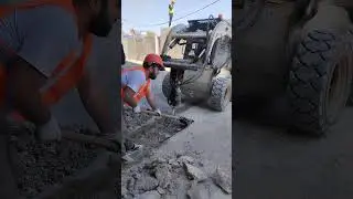 чихолдори бачачон