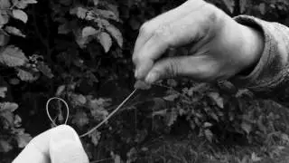 Fly Fishing: How to tie a perfection loop