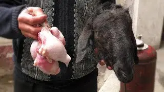 Мужской рецепт, блюда из бараньих яиц! Яйца барана польза для мужчин! Голова барана как приготовить!