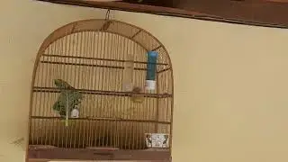 Aquele banho com vinagre  de 🍎