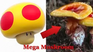 Super Mario Items In Real Life | Mario Bros Items | TOP 10