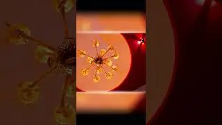 WEDDING CINEMATIC TEASER OUT 