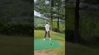 백스윙 다들 이정도하시죠!ㅎㅎㅎ#골프스윙 #골프독학