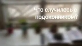 Что случилось с подоконником?