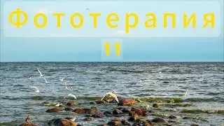 Фототерапия 11. Черничная гора. Лес. Пляж.