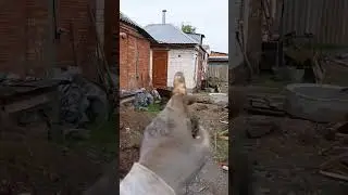 Бетонные работы в городе Шахты в ростове-на-дону Аксай Батайск на Луне и на Марсе