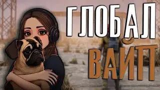 ГЛОБАЛ ВАЙП, НАЧИНАЕМ ВСЁ С НУЛЯ. RUST