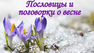 Пословицы и поговорки о весне детям. #поговорки#весна#пословицы