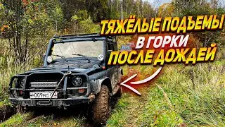 ЛАЙТОВЫЙ маршрут через ЛЕС с подъемами в горку УАЗ на 32-х И ДВУМЯ НИВАМИ на 30-31-х колесах!