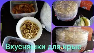 Вкусняшки,лакомства для крыс /фрукты.